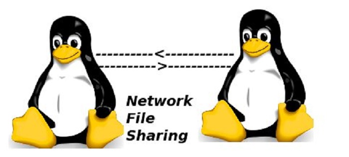پروتکل NFS Network File System